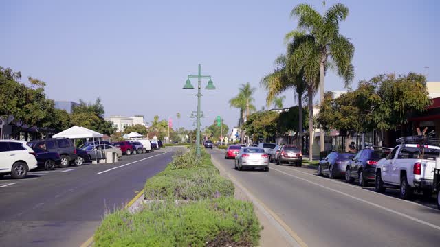 The downtown streets, palm trees and the buildings at Bird Rock, with people walking.