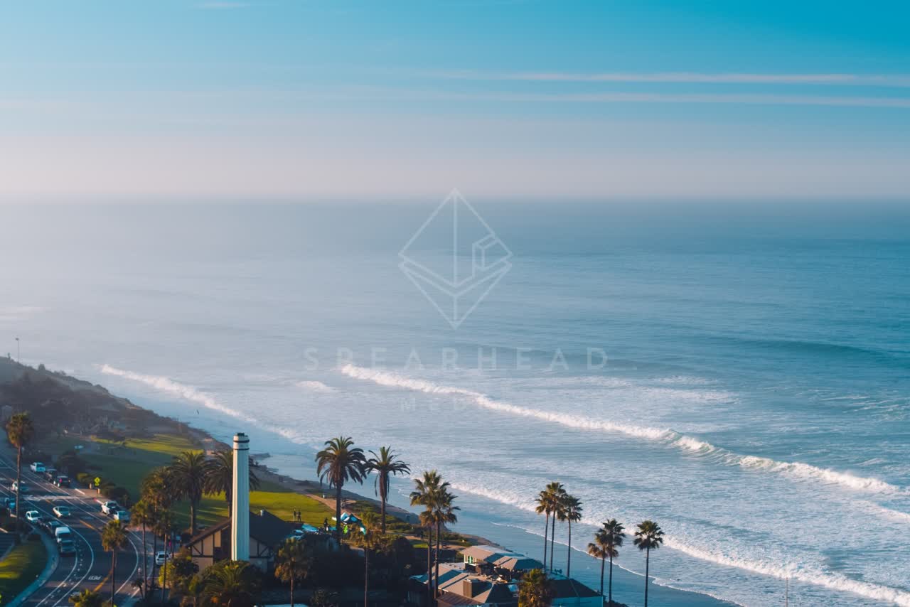 Aerial view of the beach, the surf and palm trees in Del Mar.