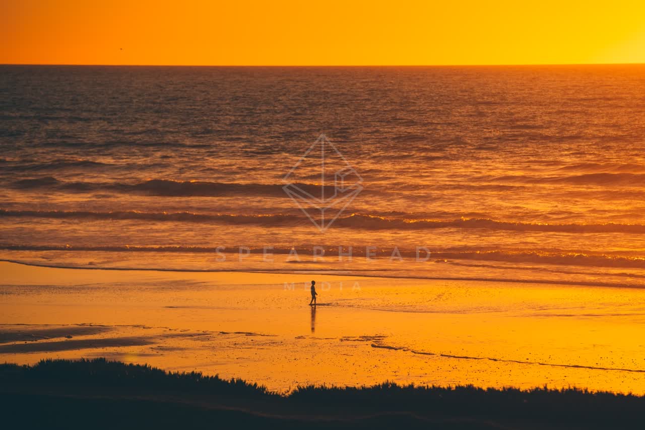 Elevated view of the beach, the surf and the ocean in Del Mar, with people walking.