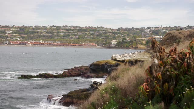 Elevated view of the cliffs, wildlife and the ocean at La Jolla Cove.