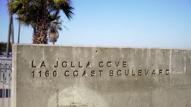 The beach and palm trees at La Jolla Cove.