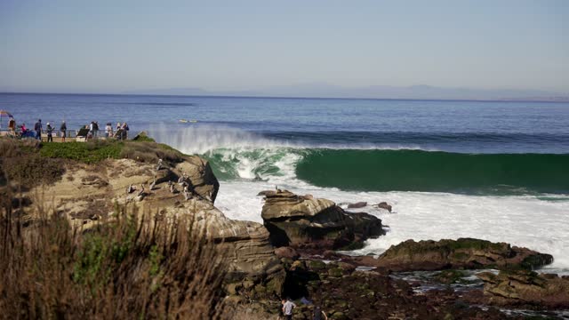 Elevated view of the cliffs, the surf and wildlife at La Jolla Cove, with people walking.