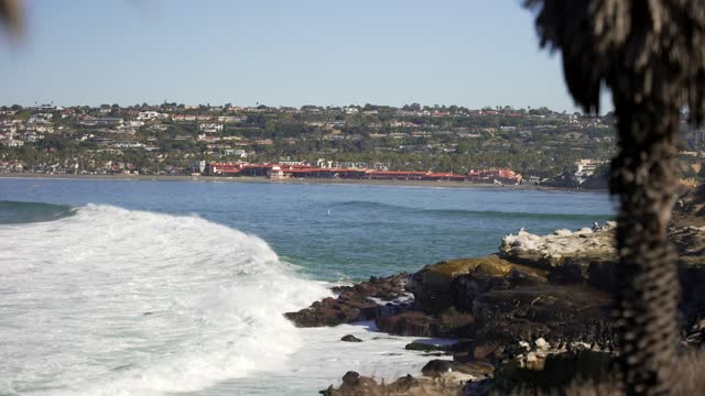 Elevated view of the cliffs, the surf and palm trees at La Jolla Cove.