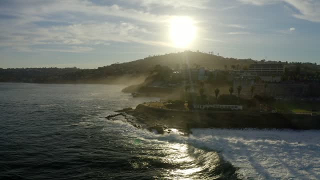 Low aerial view of the cliffs, the surf and palm trees at La Jolla Cove.