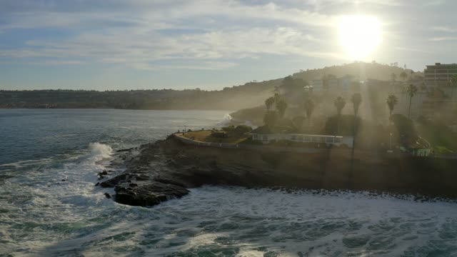 Low aerial view of the cliffs, the surf and palm trees at La Jolla Cove.