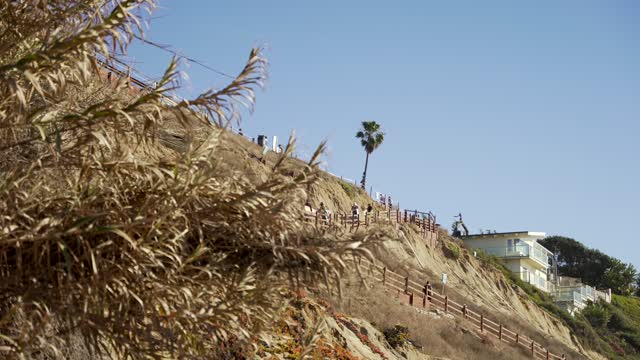 The cliffs, palm trees and homes at Leucadia, with people walking.