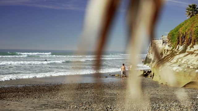 The beach, the surf and palm trees at Leucadia, with people walking.