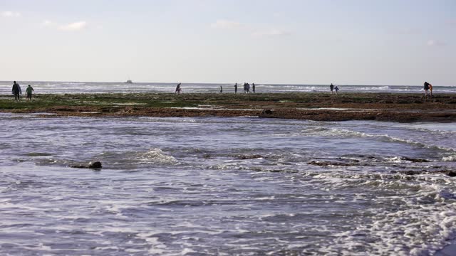The beach, the ocean and open country in Carlsbad, with people walking.