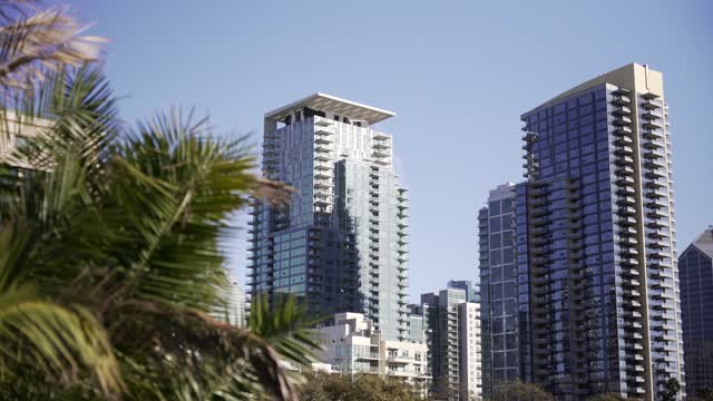 The downtown streets, the skyline and palm trees at Waterfront.