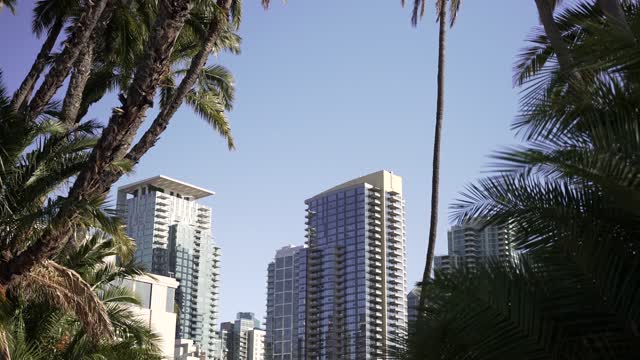 The downtown streets, the skyline and palm trees at Waterfront.