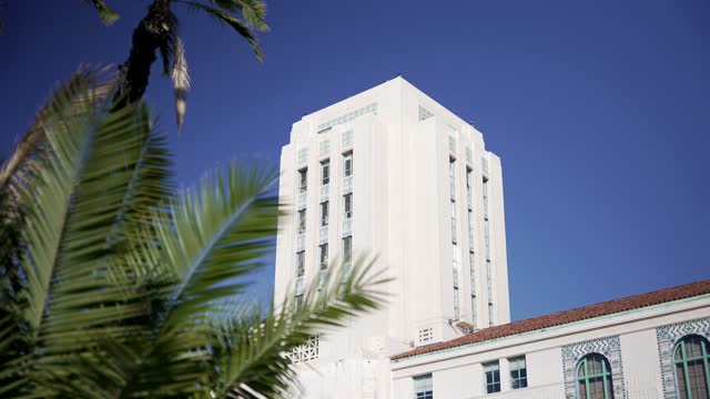The downtown streets, palm trees and the buildings at Waterfront.