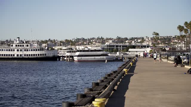 The harbor, boats and palm trees at Waterfront, with people walking.
