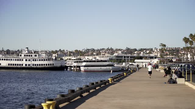 The harbor, boats and palm trees at Waterfront, with people walking.