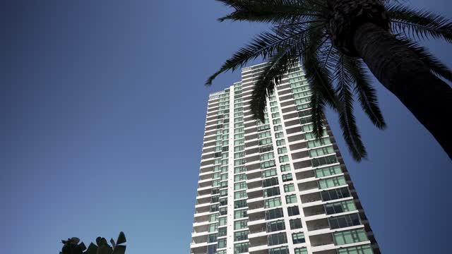 The downtown streets, palm trees and the buildings at Waterfront.