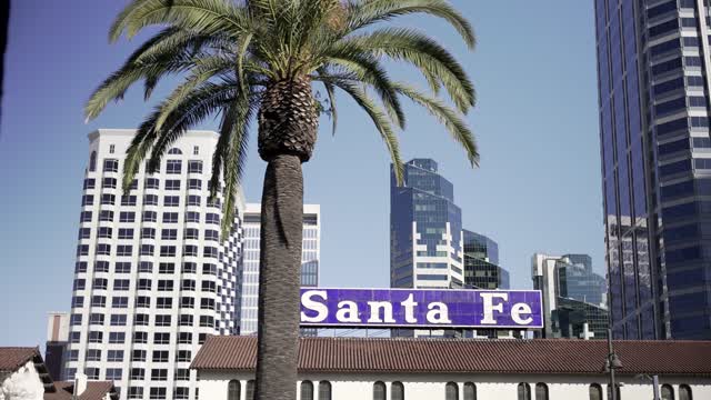 The downtown streets, the skyline and palm trees at Waterfront.