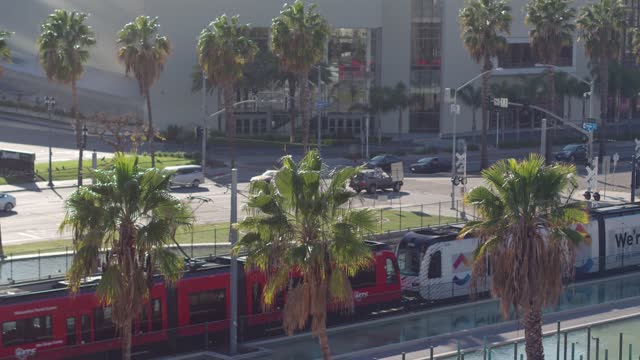 Elevated view of the downtown streets, palm trees and the buildings at Marina.