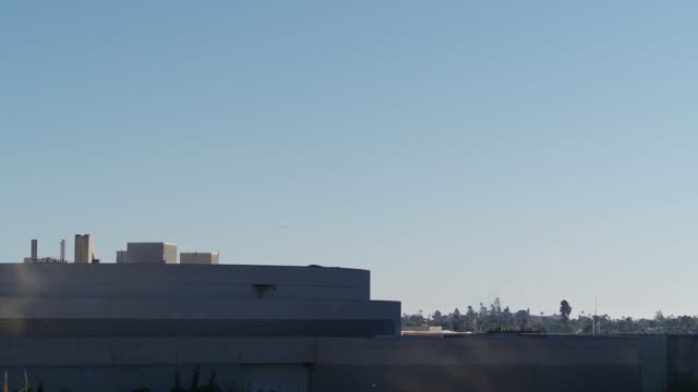 The downtown streets, palm trees and the buildings at Marina.