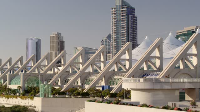 Low aerial view of the downtown streets, the skyline and palm trees at Marina.