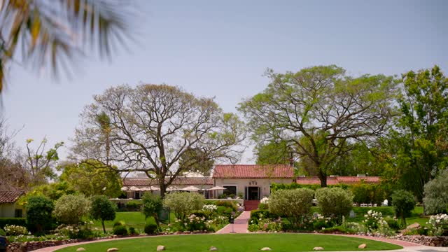 A residential street, palm trees and homes in Rancho Santa Fe.