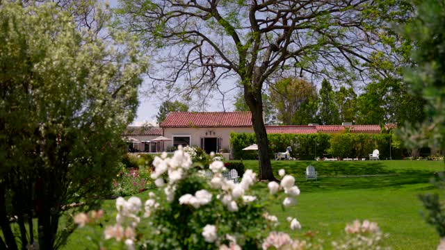 A residential street, palm trees and homes in Rancho Santa Fe.