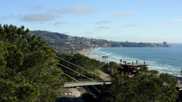 Elevated view of the cliffs, palm trees and the ocean at La Jolla Cove.
