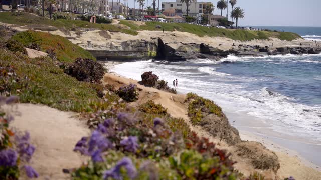 Elevated view of the cliffs, the surf and palm trees at La Jolla Cove, with people walking.