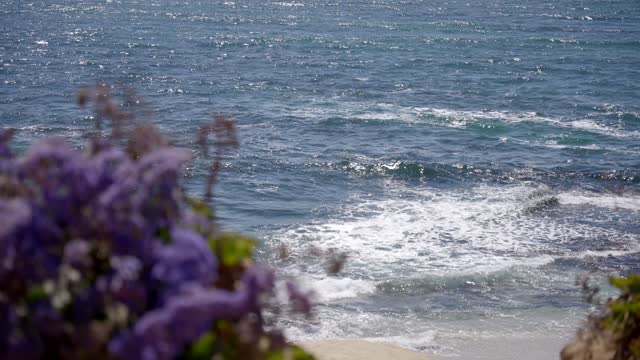 The cliffs, the surf and the ocean at La Jolla Cove.