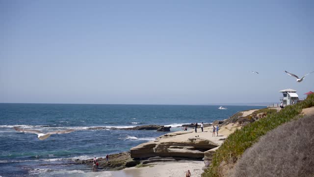 The beach, boats and wildlife at La Jolla Cove, with people walking.