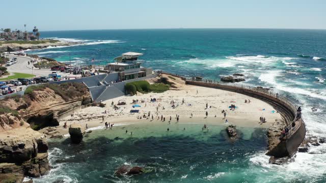 Aerial view of the beach, the surf and palm trees at La Jolla Cove, with swimmers in the water.