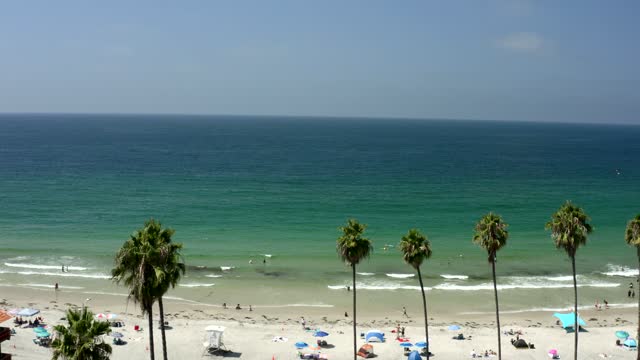 Elevated view of the beach, palm trees and the ocean at La Jolla Shores, with people walking.
