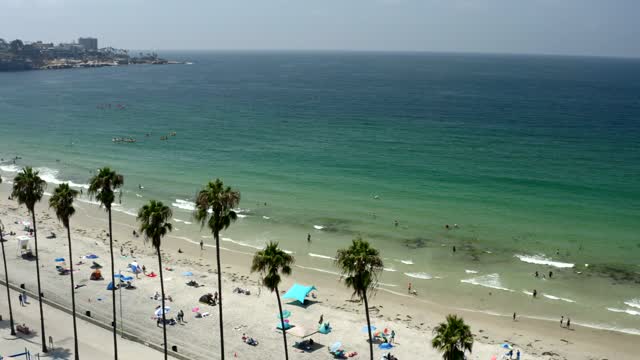 Low aerial view of the beach, the surf and palm trees at La Jolla Shores, with swimmers in the water.