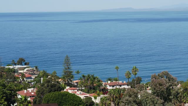 Elevated view of a residential street, palm trees and the ocean at La Jolla Cove.