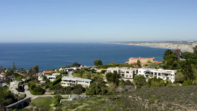 Aerial view of a residential street, palm trees and the ocean at La Jolla Cove.