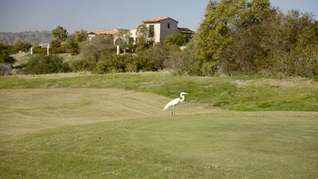 The country inland, wildlife and homes in Santaluz.