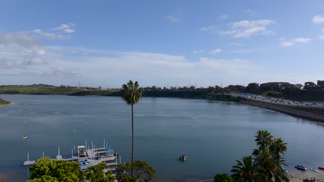 Elevated view of the harbor, boats and palm trees in Carlsbad, with boats out.