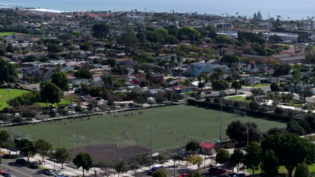 Aerial view of a residential street, palm trees and the ocean in Carlsbad, with swimmers in the water.