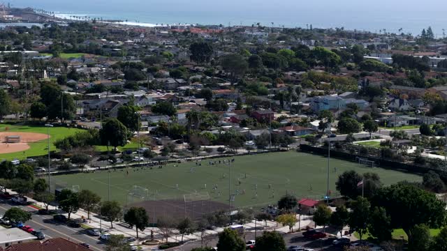 Aerial view of a residential street, palm trees and the ocean in Carlsbad, with swimmers in the water.