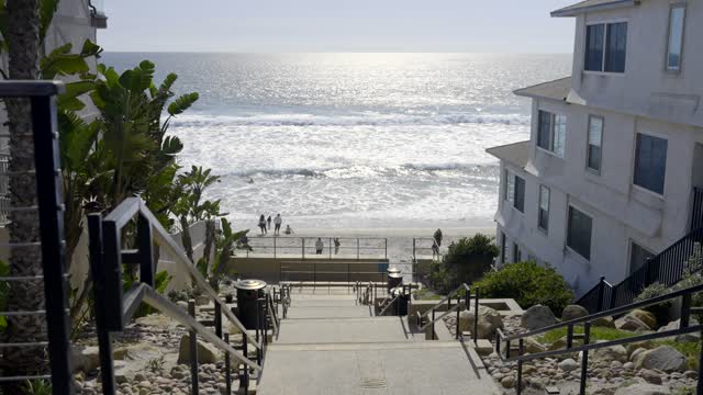 Elevated view of the beach, the surf and palm trees in Carlsbad, with people walking.