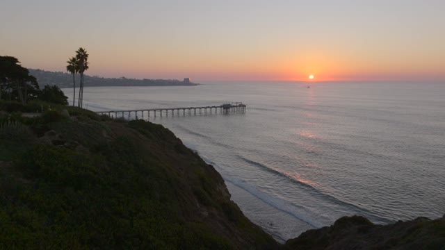 Elevated view of the cliffs, the pier and palm trees at La Jolla Shores.