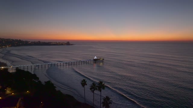 Aerial view of the beach, the pier and palm trees at La Jolla Shores.