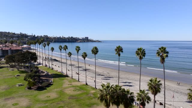 Low aerial view of the beach, palm trees and the ocean at La Jolla Shores, with people walking.