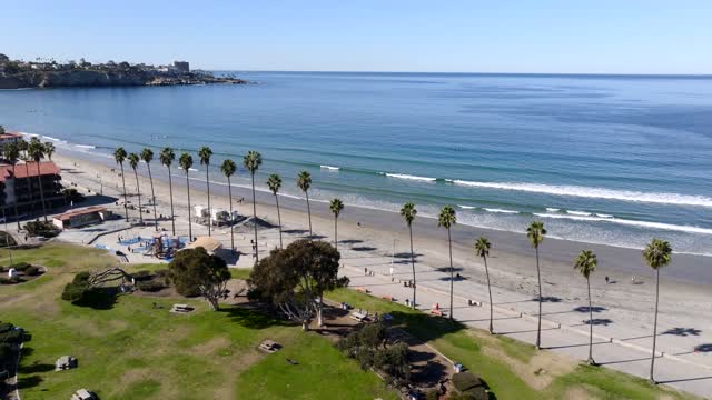 Aerial view of the beach, the surf and palm trees at La Jolla Shores, with people walking.