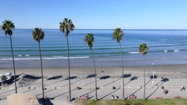 Elevated view of the beach, the surf and palm trees at La Jolla Shores, with people walking.