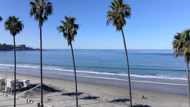 Elevated view of the beach, the surf and palm trees at La Jolla Shores, with people walking.