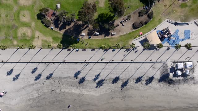 Aerial view of the beach, palm trees and the ocean at La Jolla Shores, with people walking.