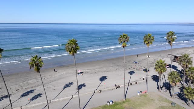 Low aerial view of the beach, the surf and palm trees at La Jolla Shores, with people walking.