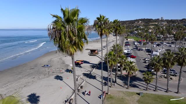 Low aerial view of the beach, the surf and palm trees at La Jolla Shores, with people walking.