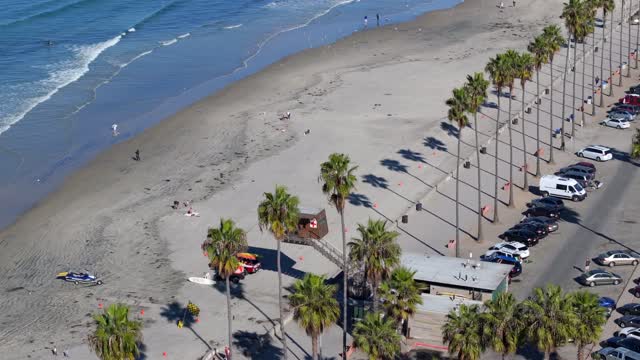 Aerial view of the beach, the surf and palm trees at La Jolla Shores, with people walking.