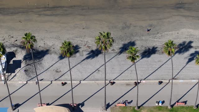 Aerial view of the beach, palm trees and the ocean at La Jolla Shores, with people walking.