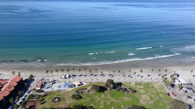 Aerial view of the beach, the surf and palm trees at La Jolla Shores.